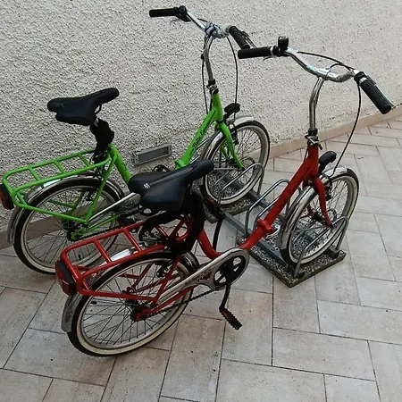 Civico15 